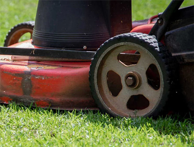 Lawn Mower and Tractor Replacement 